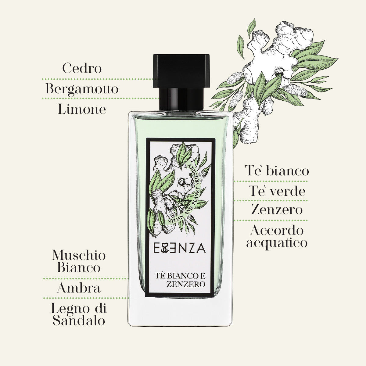 TÈ BIANCO E ZENZERO Eau de Parfum